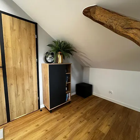 Do Brzegu Lepiej Loft Z Klimatyzacja I Tarasem Blisko Jeziora Parking Ii Appartement